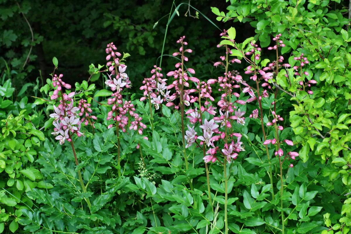 IMG-2016-05-26-00016981p_Bildgr��e �ndern