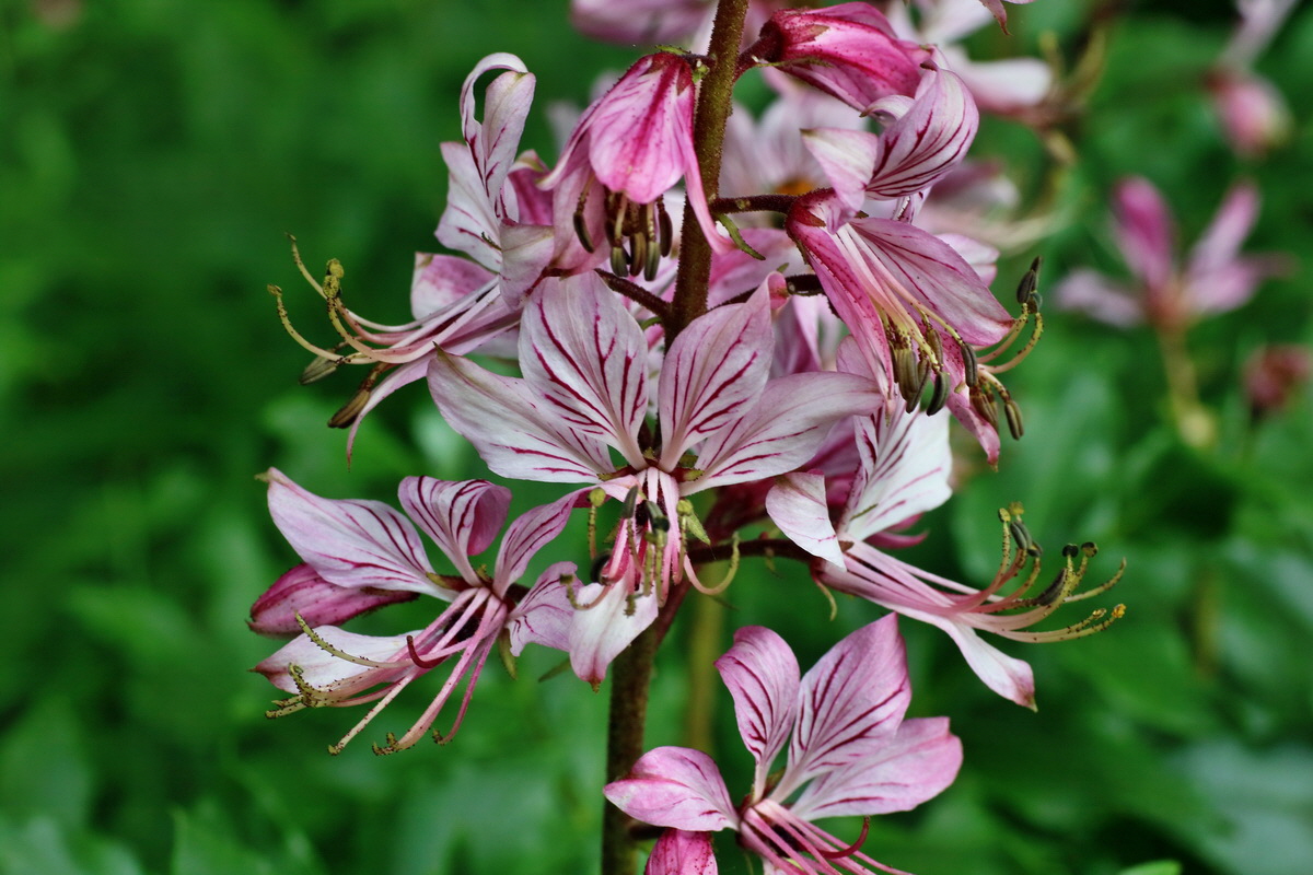 IMG-2016-05-26-00016985p_Bildgr��e �ndern