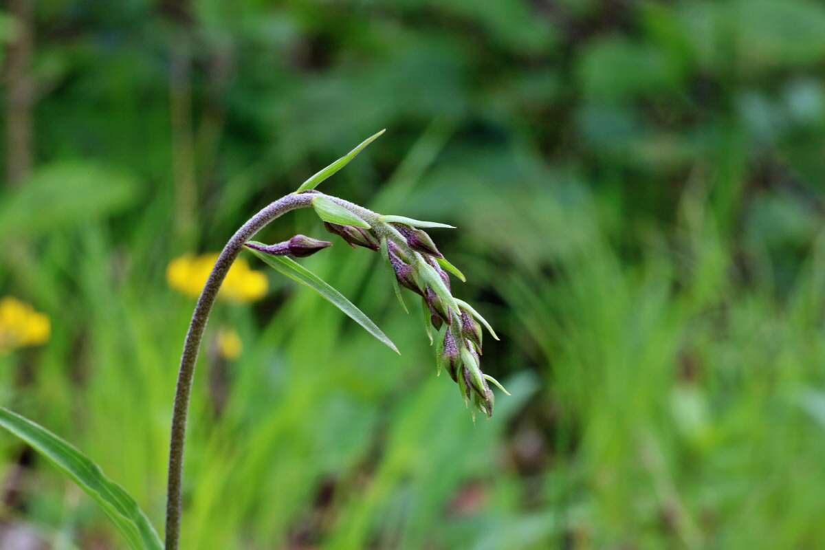 IMG-2016-05-26-00016993p_Bildgr��e �ndern