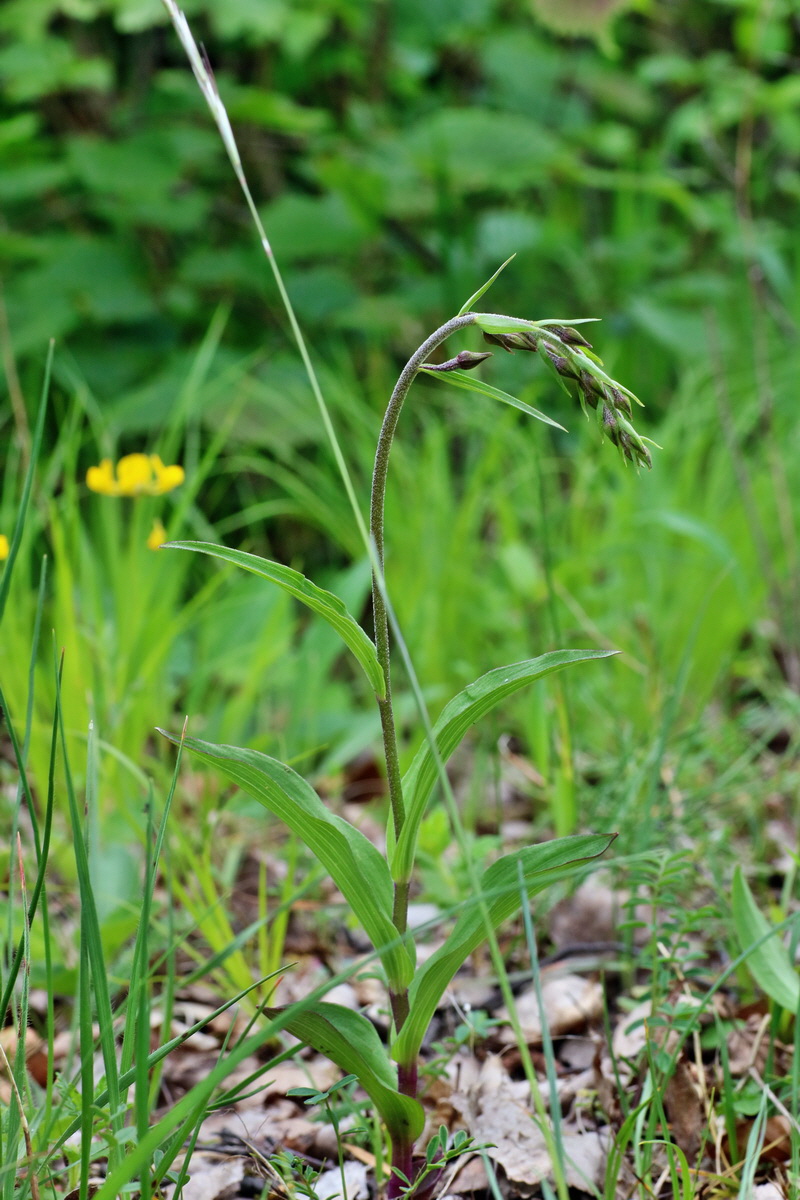 IMG-2016-05-26-00016998p_Bildgr��e �ndern