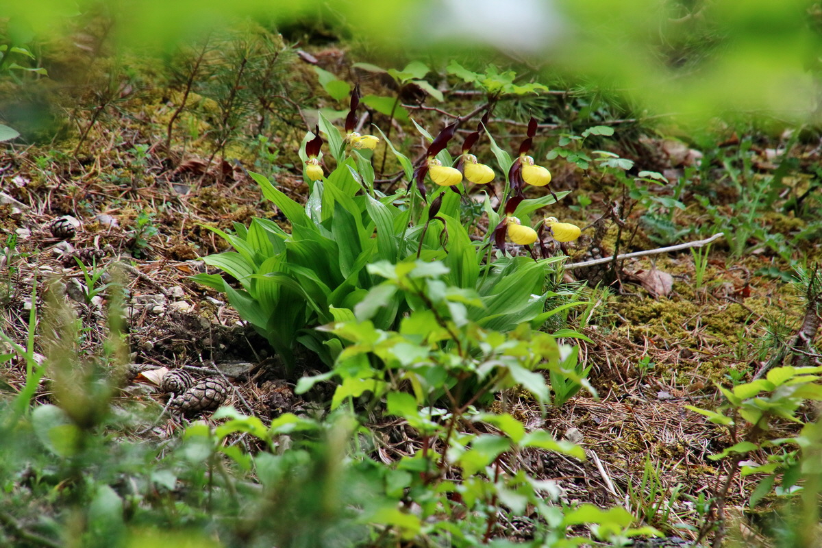 IMG-2016-05-26-00017042p_Bildgr��e �ndern