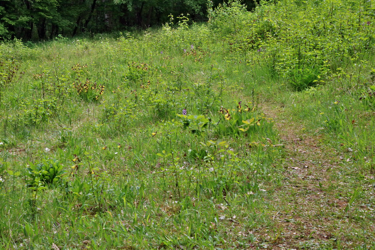 IMG-2016-05-26-00017057p_Bildgr��e �ndern