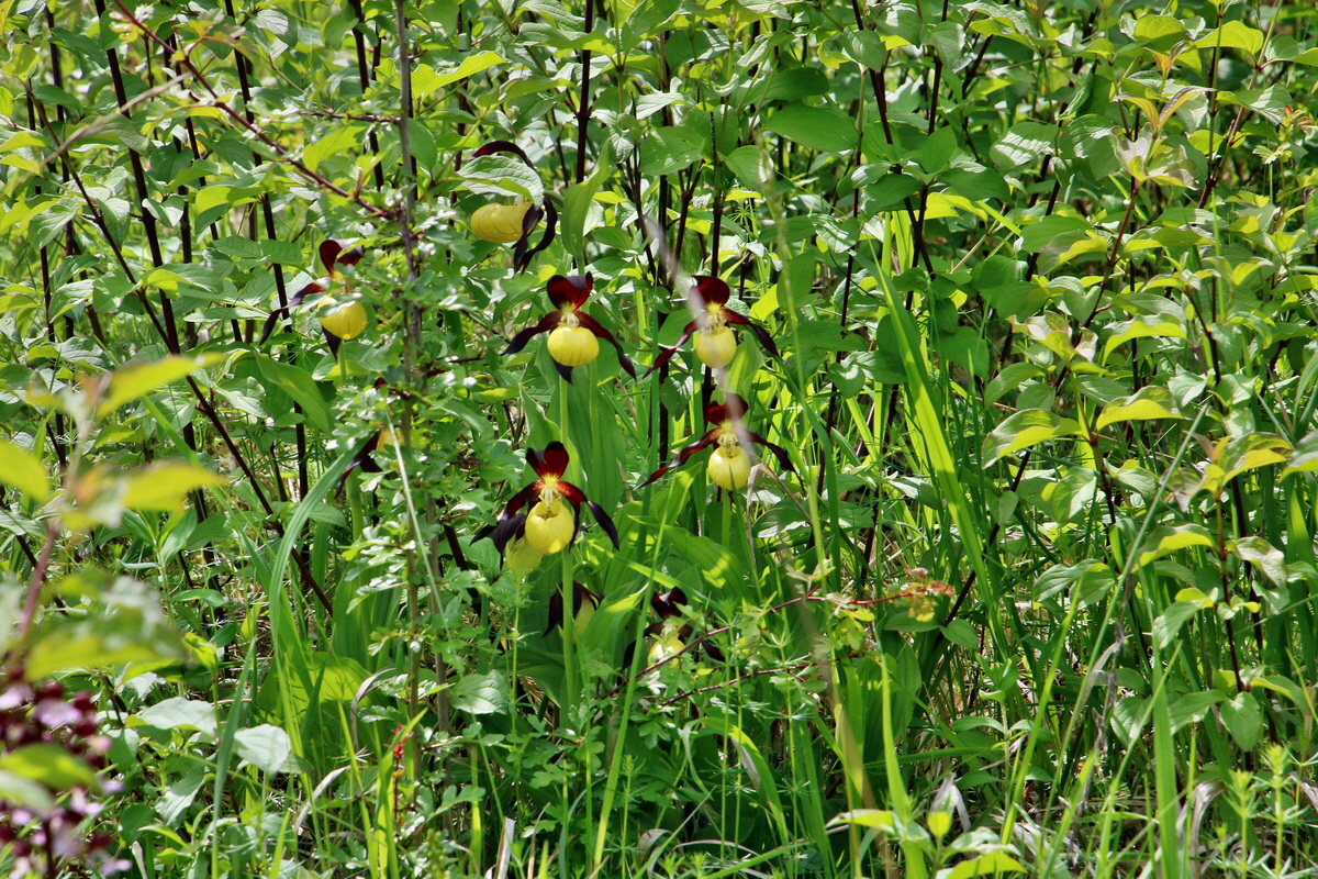 IMG-2016-05-26-00017074p_Bildgr��e �ndern