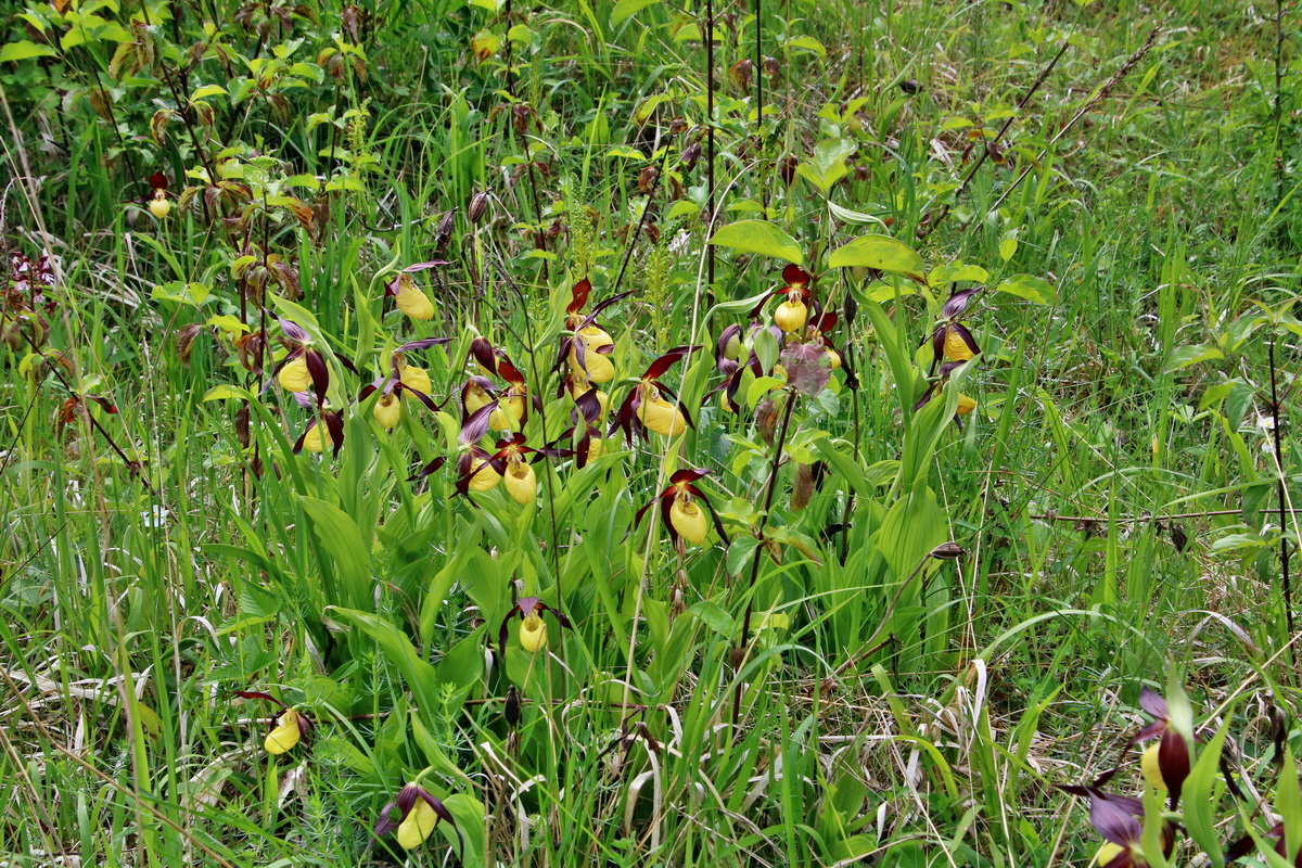 IMG-2016-05-26-00017085p_Bildgr��e �ndern