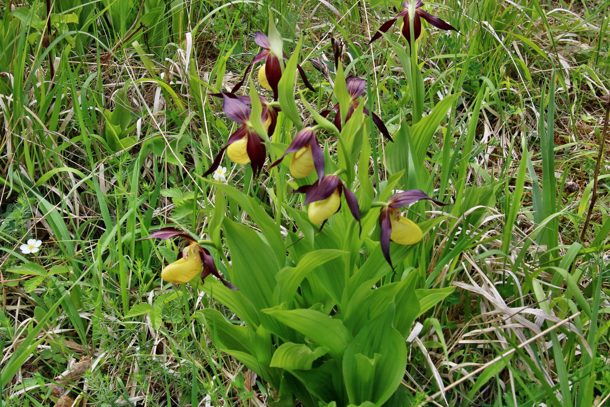 IMG-2016-05-26-00017089p_Bildgr��e �ndern