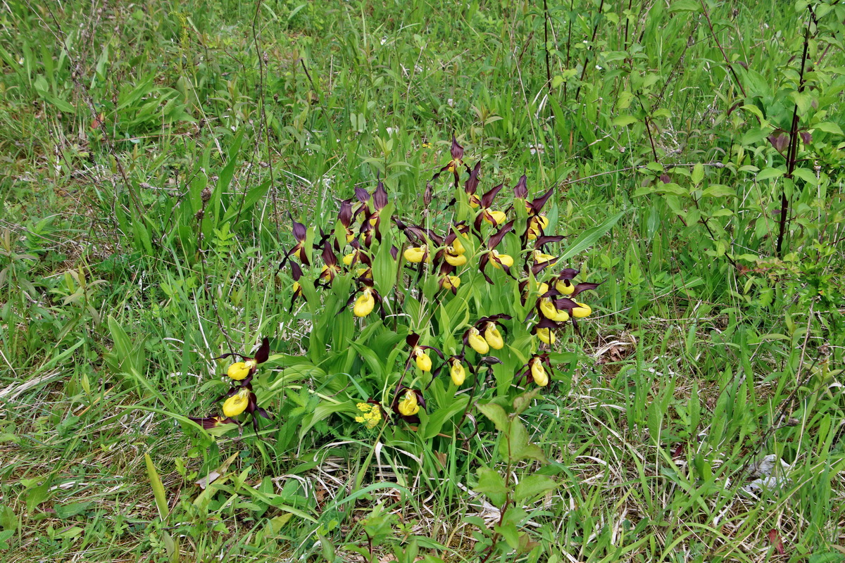 IMG-2016-05-26-00017092p_Bildgr��e �ndern