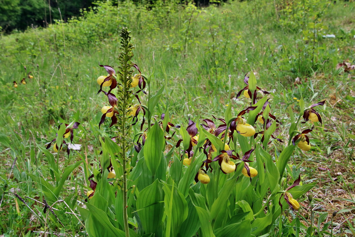 IMG-2016-05-26-00017103p_Bildgr��e �ndern