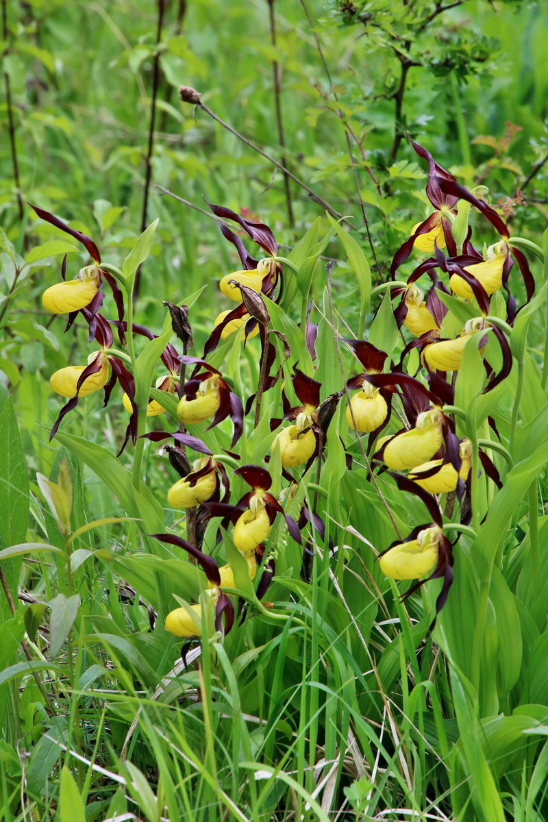 IMG-2016-05-26-00017108p_Bildgr��e �ndern