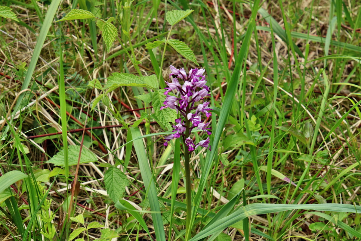 IMG-2016-05-26-00017153p_Bildgr��e �ndern