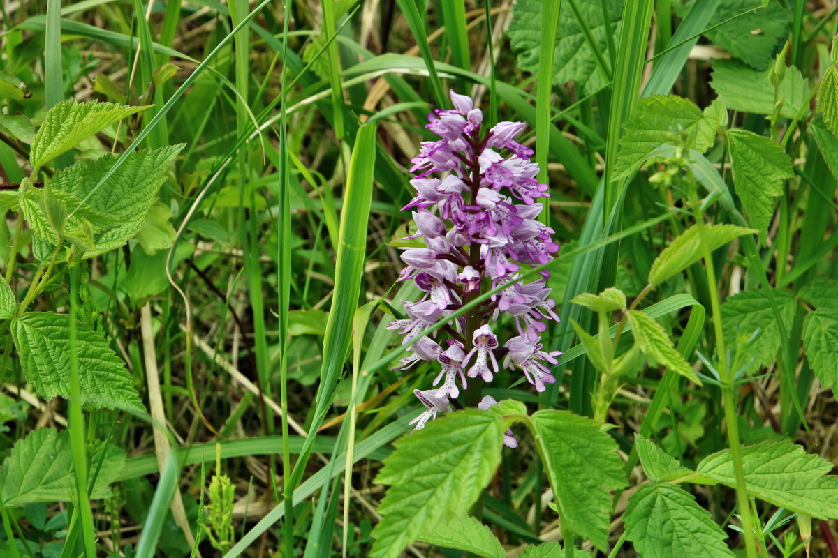 IMG-2016-05-26-00017155p_Bildgr��e �ndern