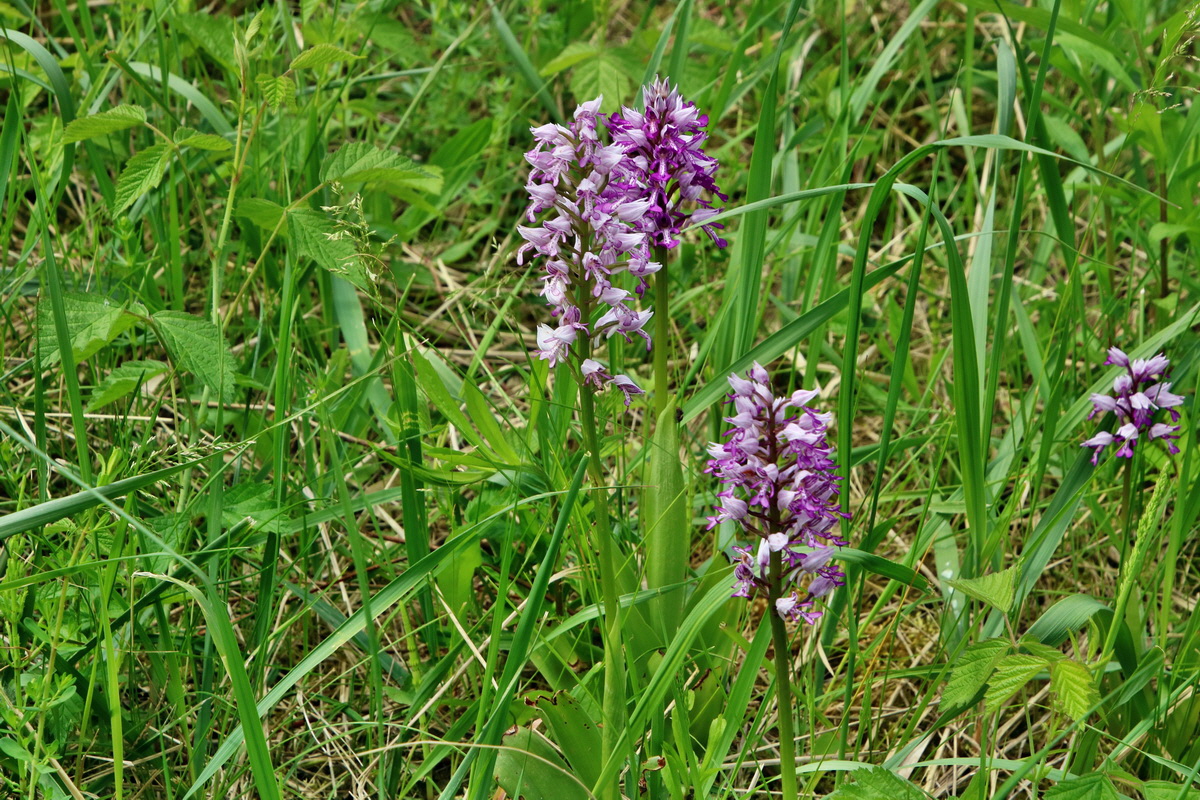 IMG-2016-05-26-00017157p_Bildgr��e �ndern