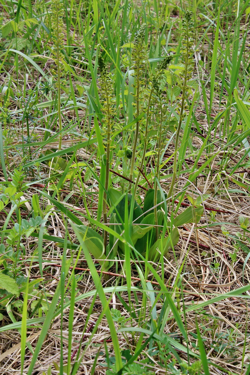 IMG-2016-05-26-00017162p_Bildgr��e �ndern