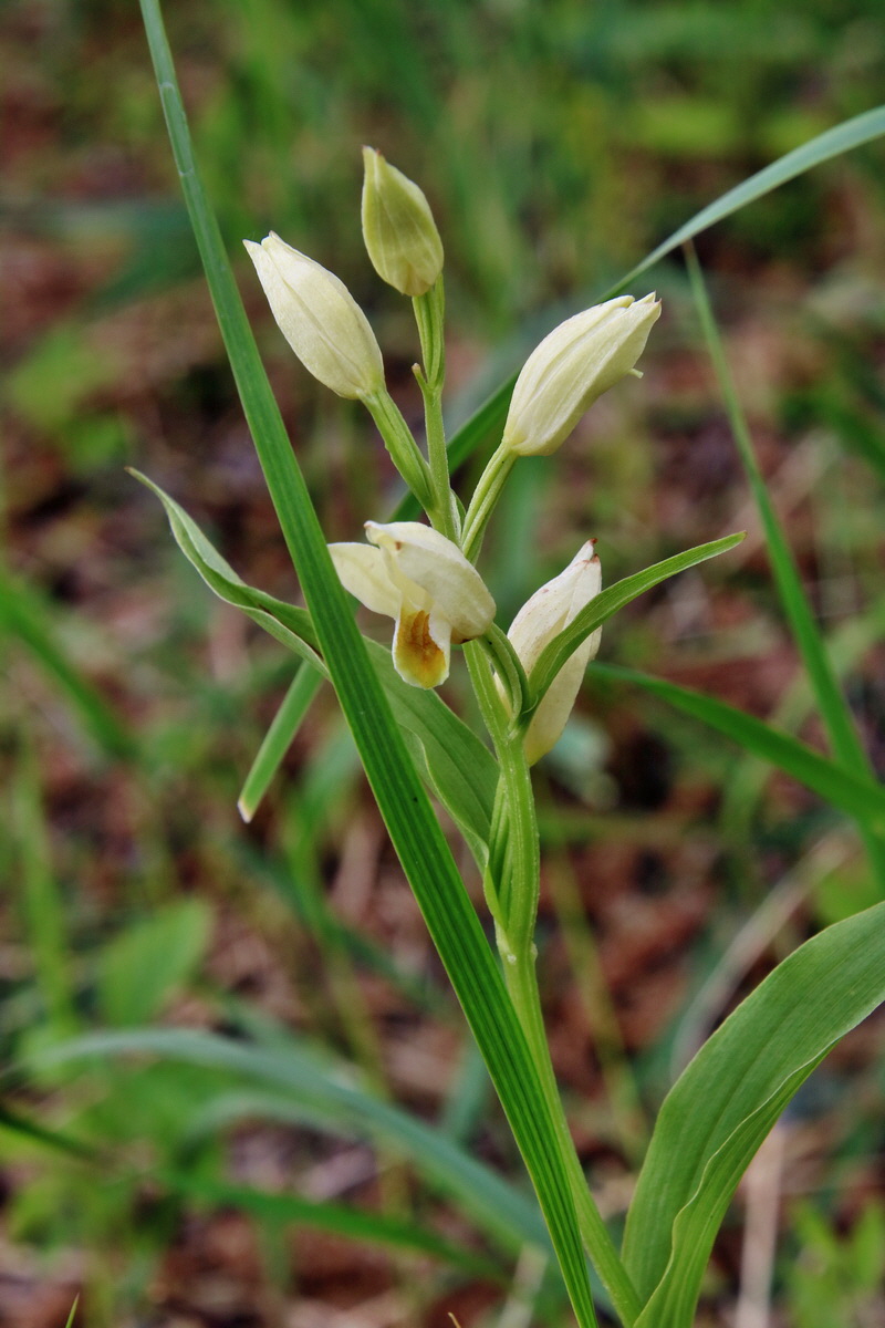 IMG-2016-05-26-00017163p_Bildgr��e �ndern