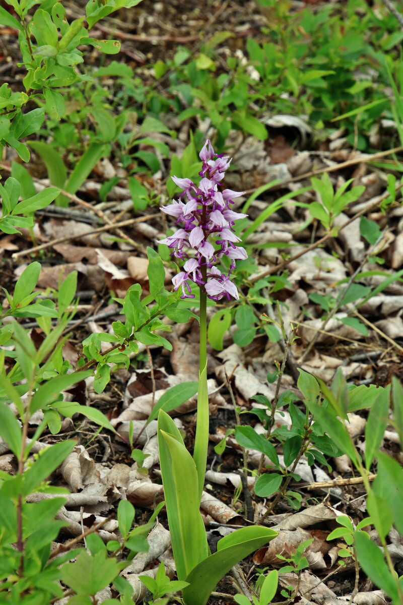 IMG-2016-05-26-00017179p_Bildgr��e �ndern