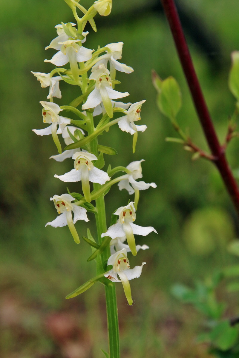 IMG-2016-05-26-00017181p_Bildgr��e �ndern