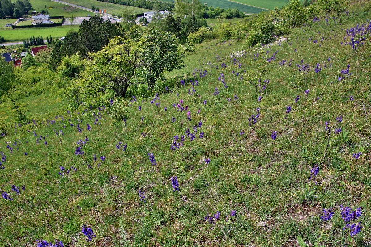 IMG-2016-05-26-00017200p_Bildgr��e �ndern