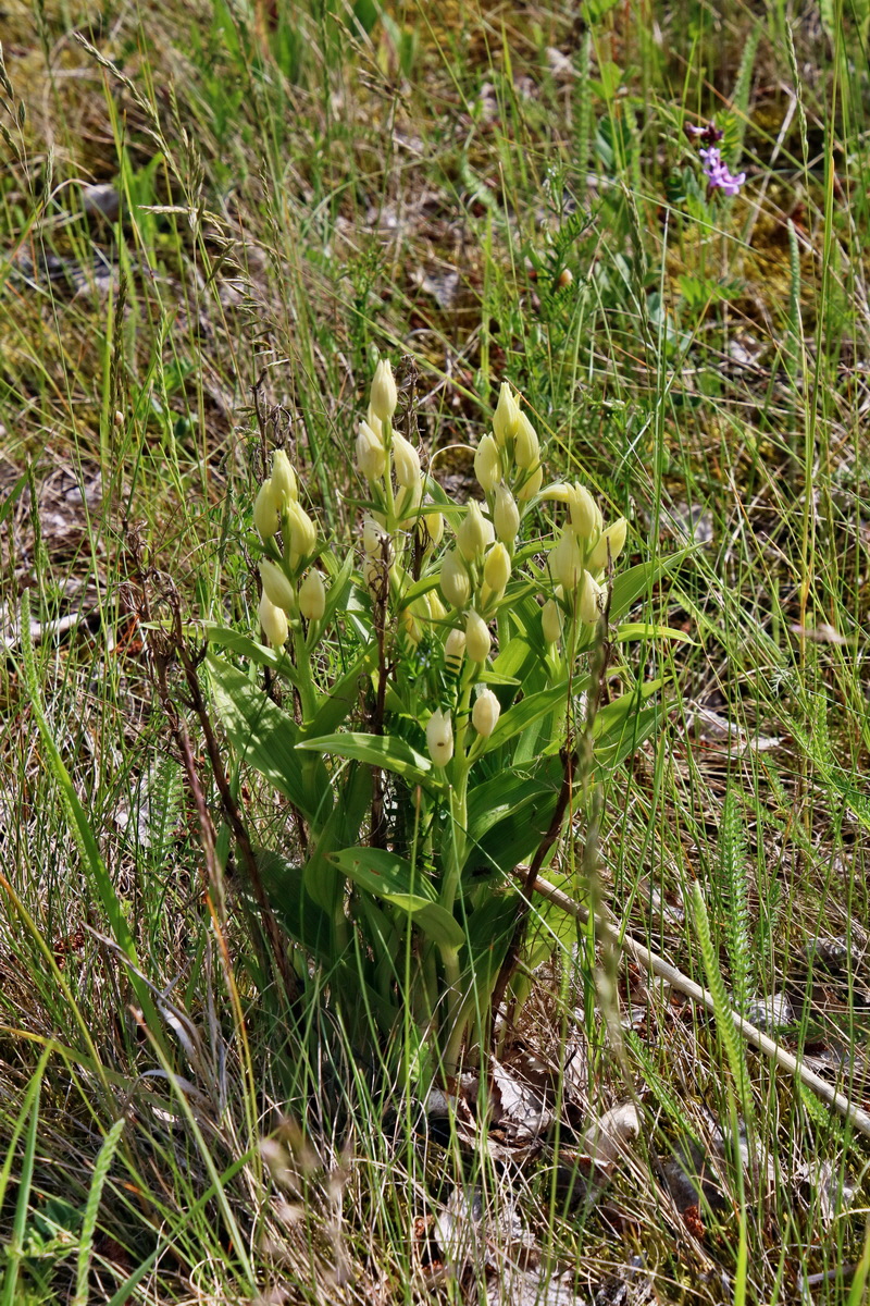 IMG-2016-05-26-00017204p_Bildgr��e �ndern