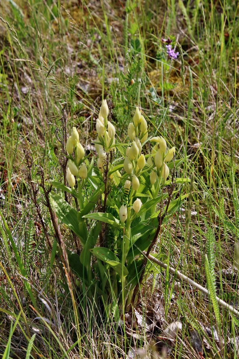 IMG-2016-05-26-00017210p_Bildgr��e �ndern