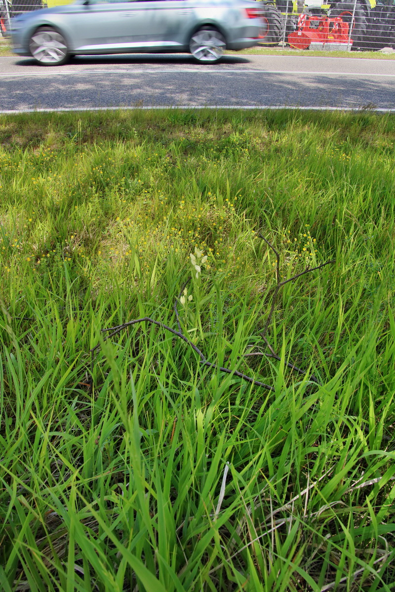 IMG-2016-05-26-00017211p_Bildgr��e �ndern