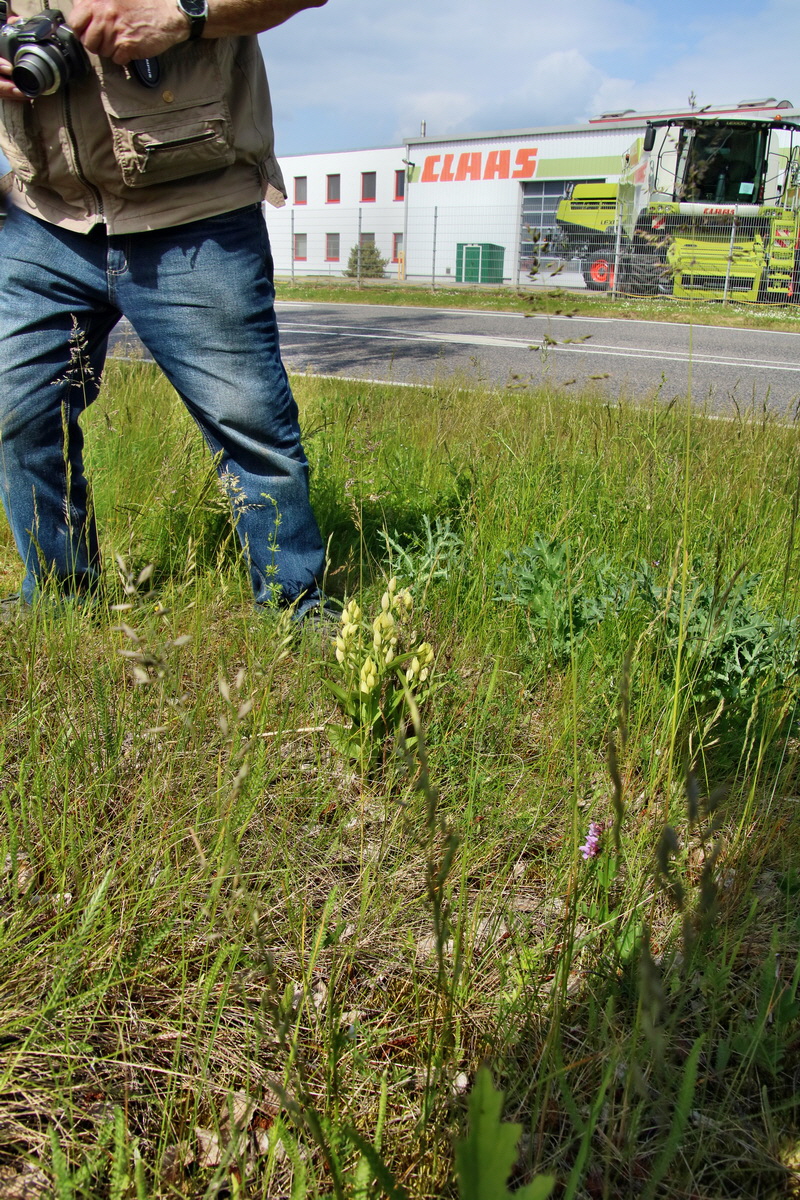 IMG-2016-05-26-00017217p_Bildgr��e �ndern