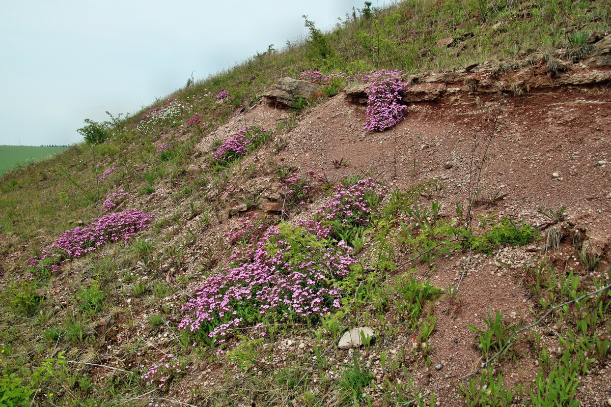 IMG-2016-05-26-00017219p_Bildgr��e �ndern