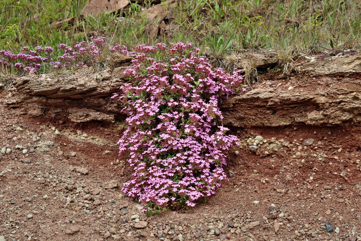 IMG-2016-05-26-00017220p_Bildgr��e �ndern