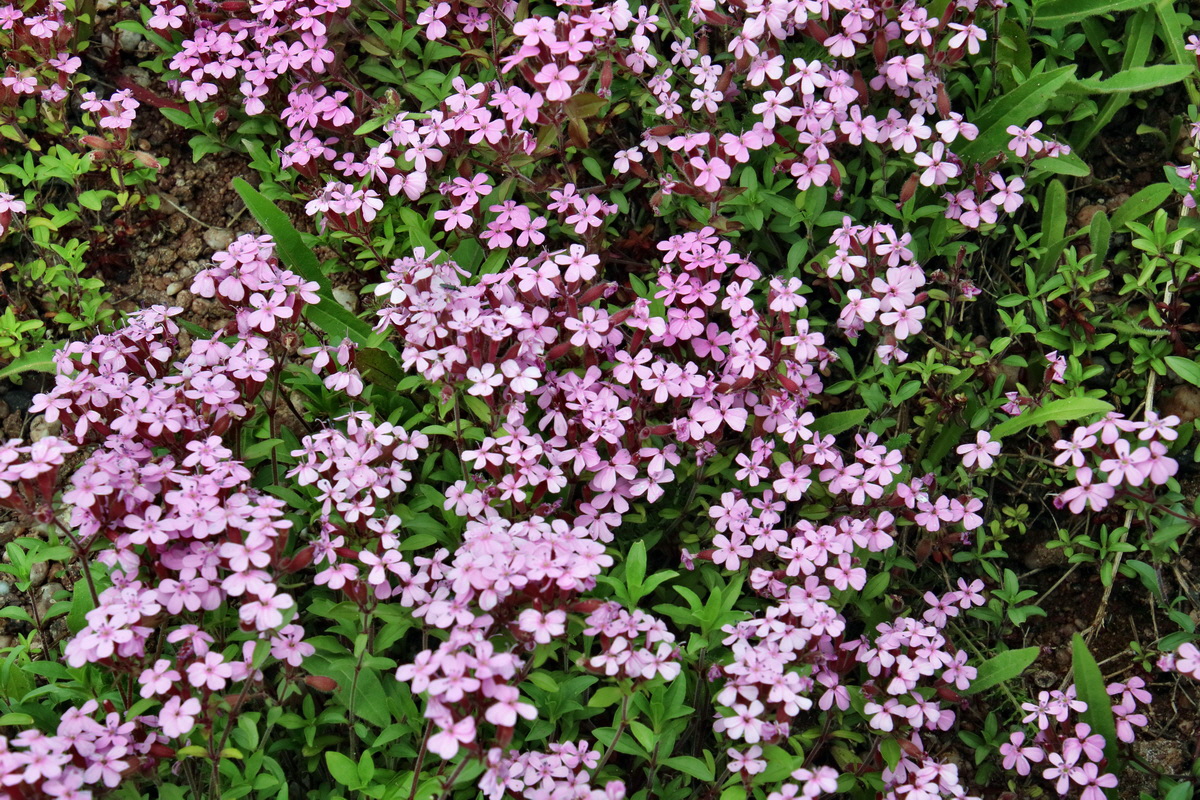 IMG-2016-05-26-00017222p_Bildgr��e �ndern