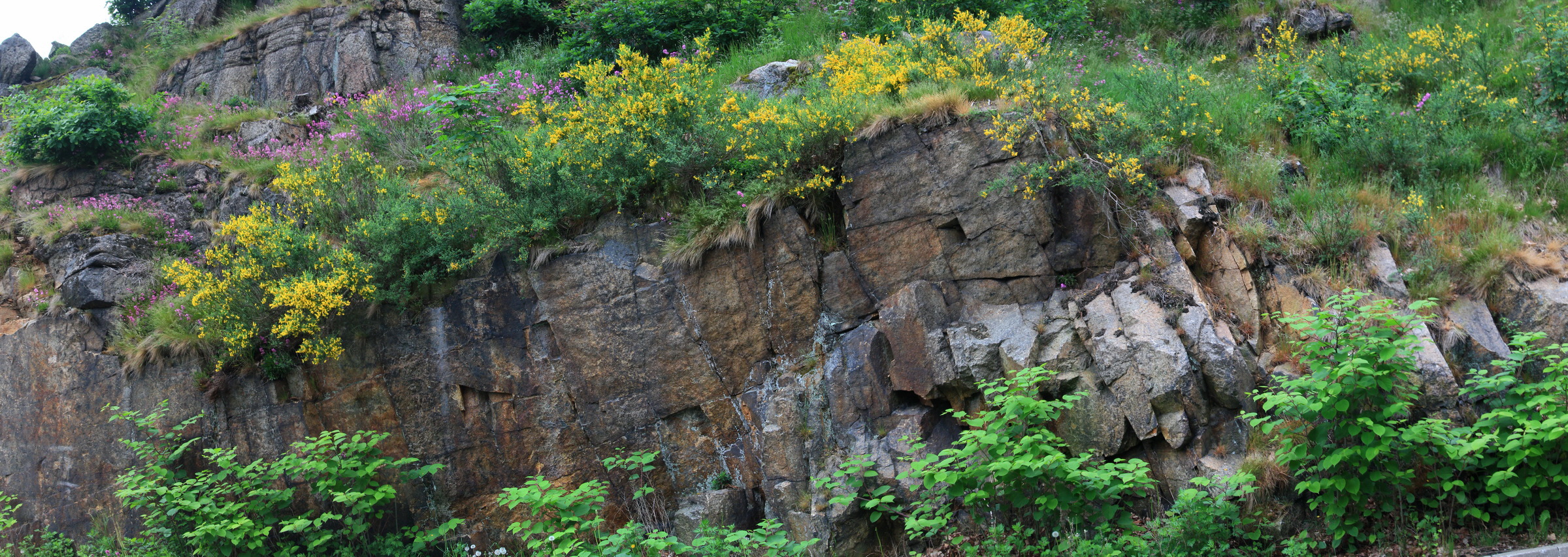 [Group 5]-A_2016_05_30_00019941_A_2016_05_30_00019949-9 images_Bildgr��e �ndern