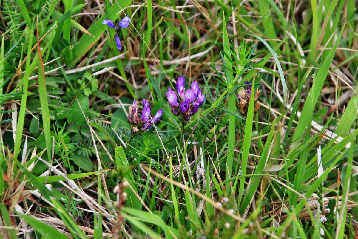 A_2016_05_30_00019892p_Bildgr��e �ndern