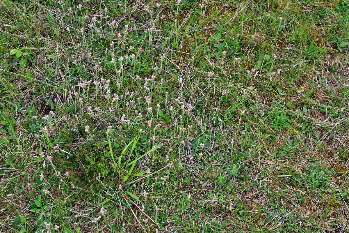 A_2016_05_30_00019894p_Bildgr��e �ndern