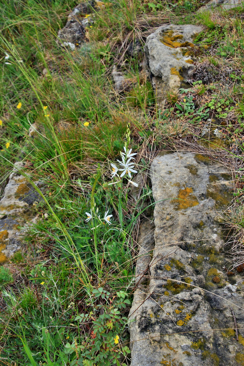 A_2016_05_30_00019901p_Bildgr��e �ndern