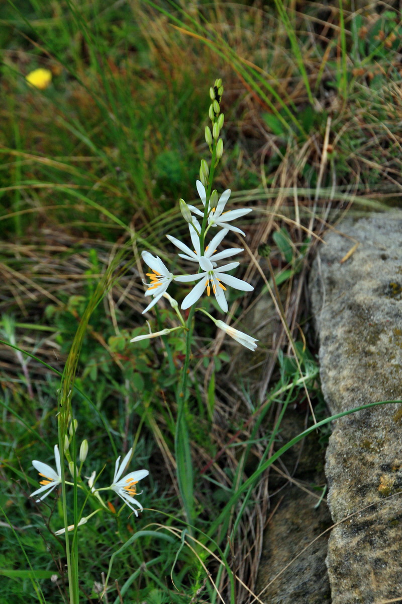 A_2016_05_30_00019902p_Bildgr��e �ndern