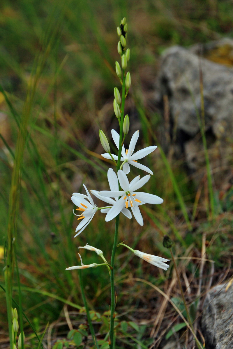 A_2016_05_30_00019904p_Bildgr��e �ndern