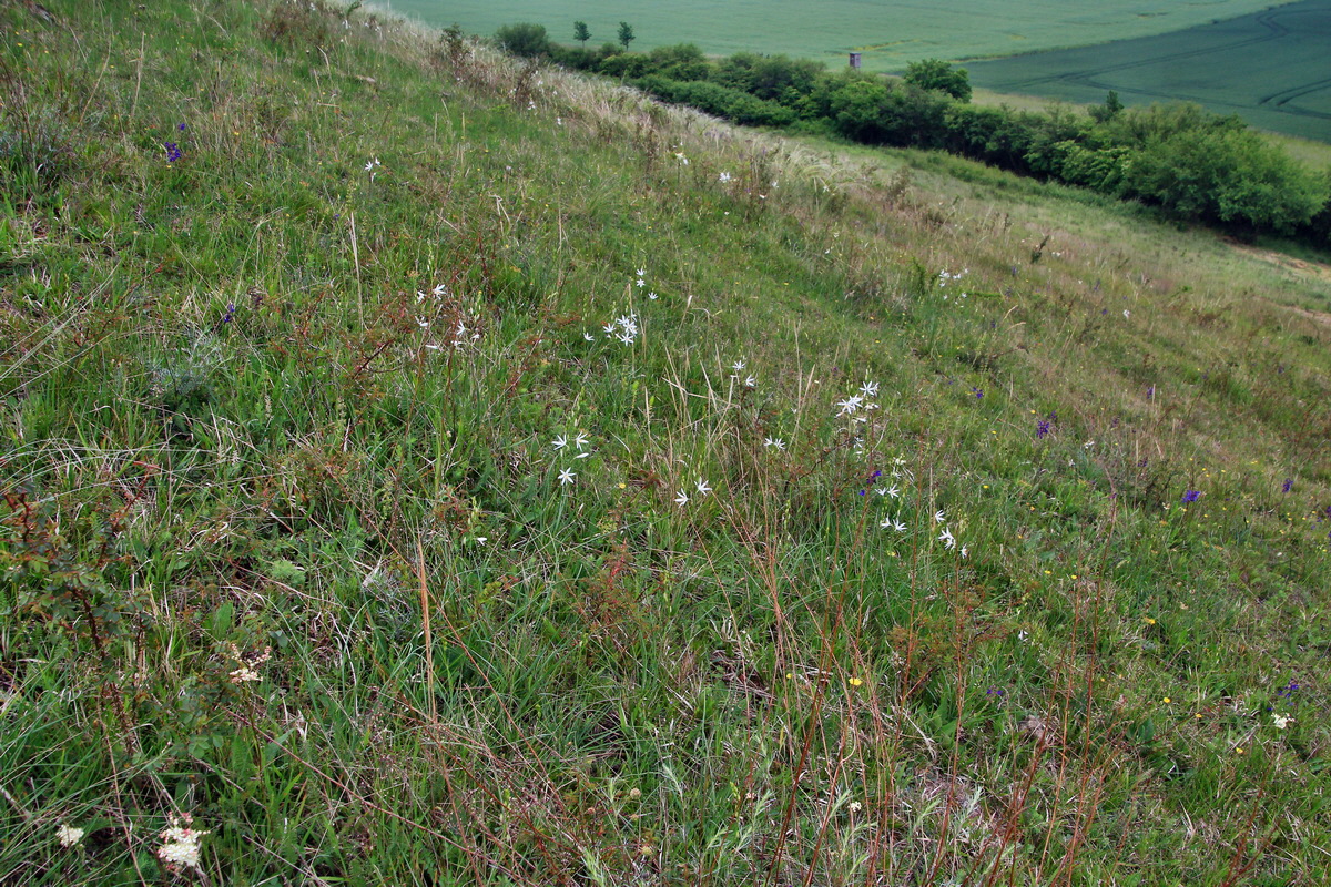 A_2016_05_30_00019906p_Bildgr��e �ndern