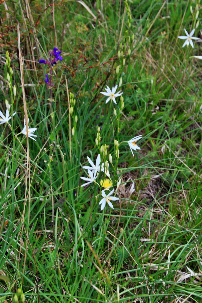 A_2016_05_30_00019908p_Bildgr��e �ndern