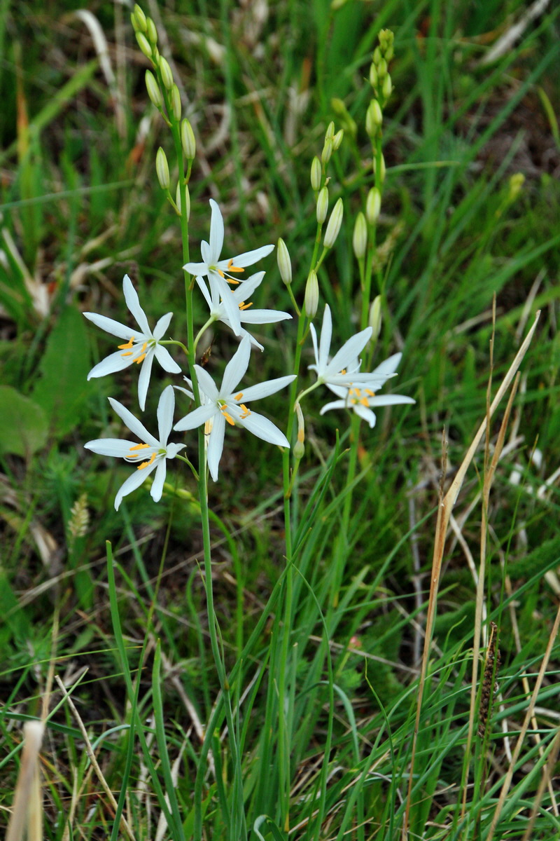 A_2016_05_30_00019910p_Bildgr��e �ndern