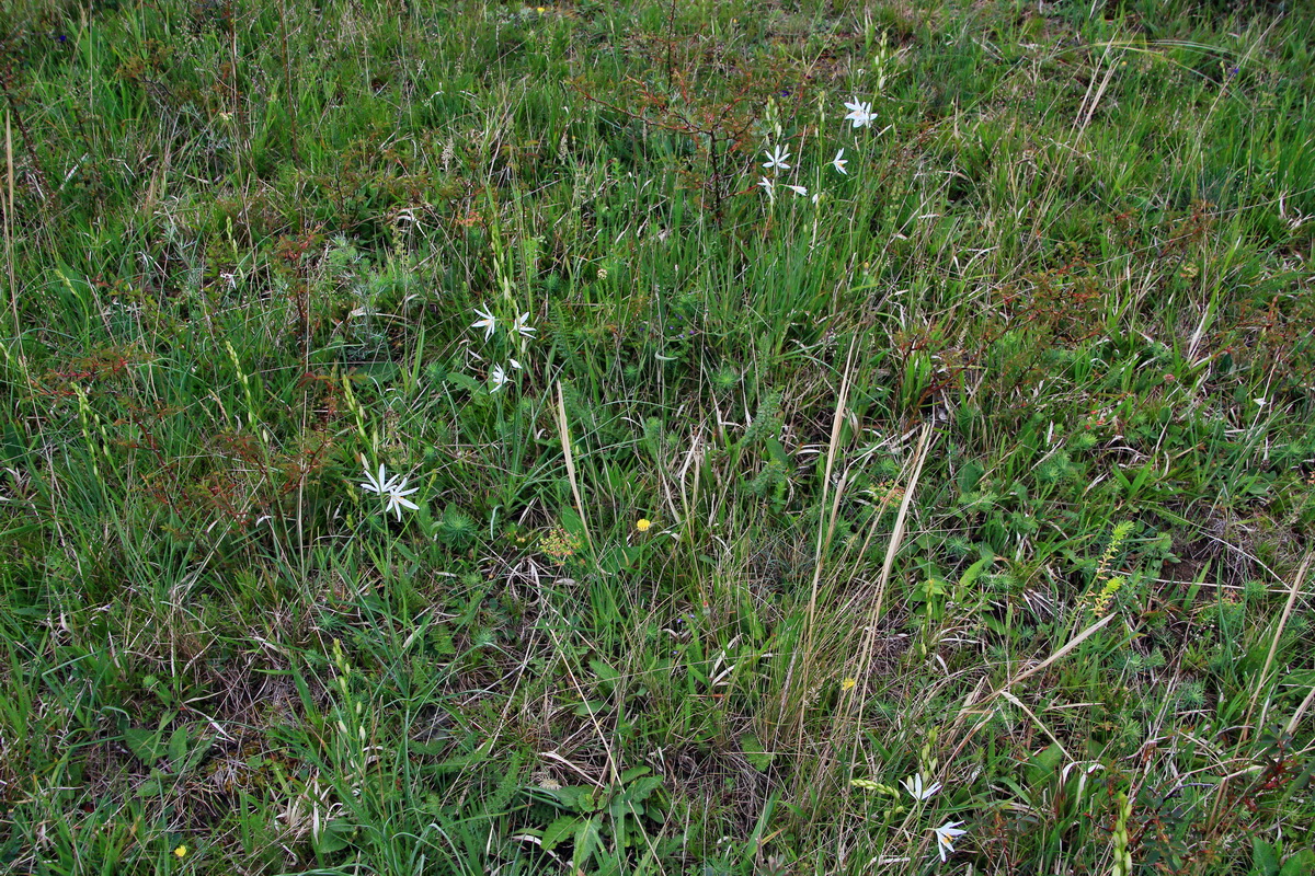 A_2016_05_30_00019912p_Bildgr��e �ndern