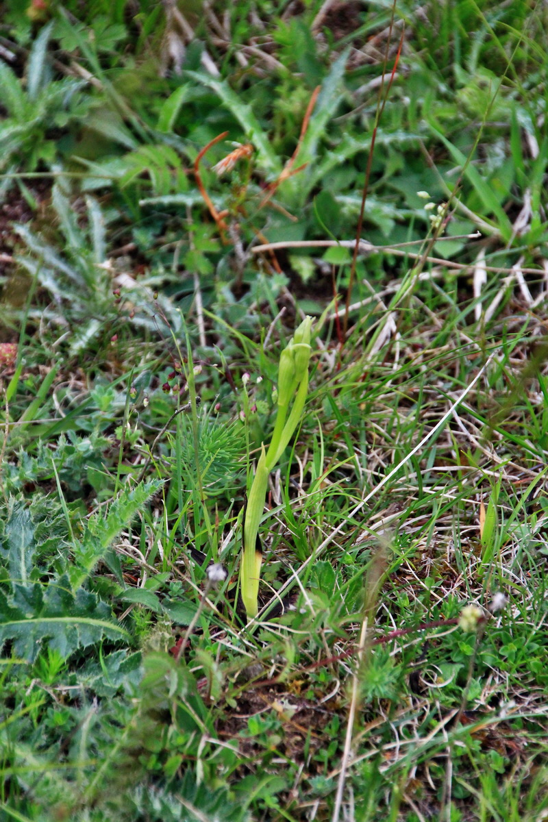 A_2016_05_30_00019917p_Bildgr��e �ndern