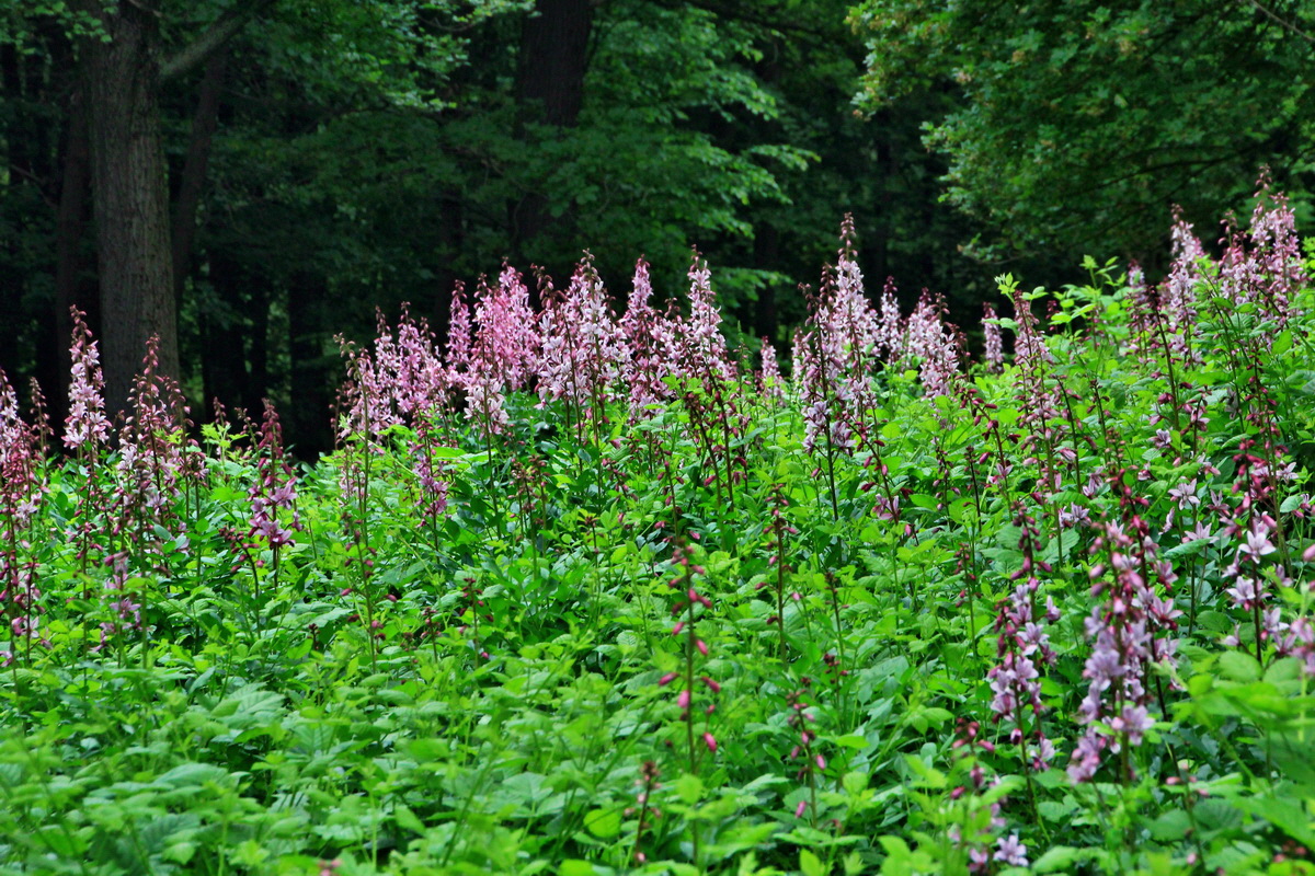 A_2016_05_30_00019919p_Bildgr��e �ndern