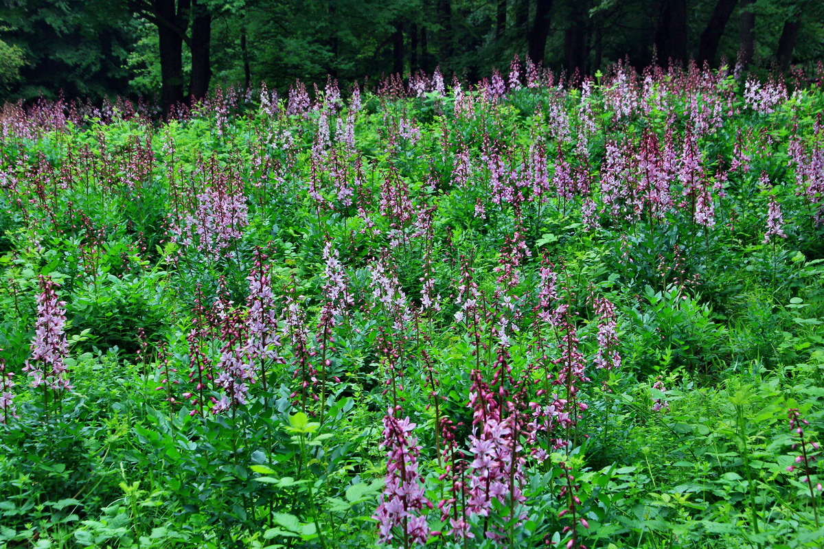 A_2016_05_30_00019922p_Bildgr��e �ndern