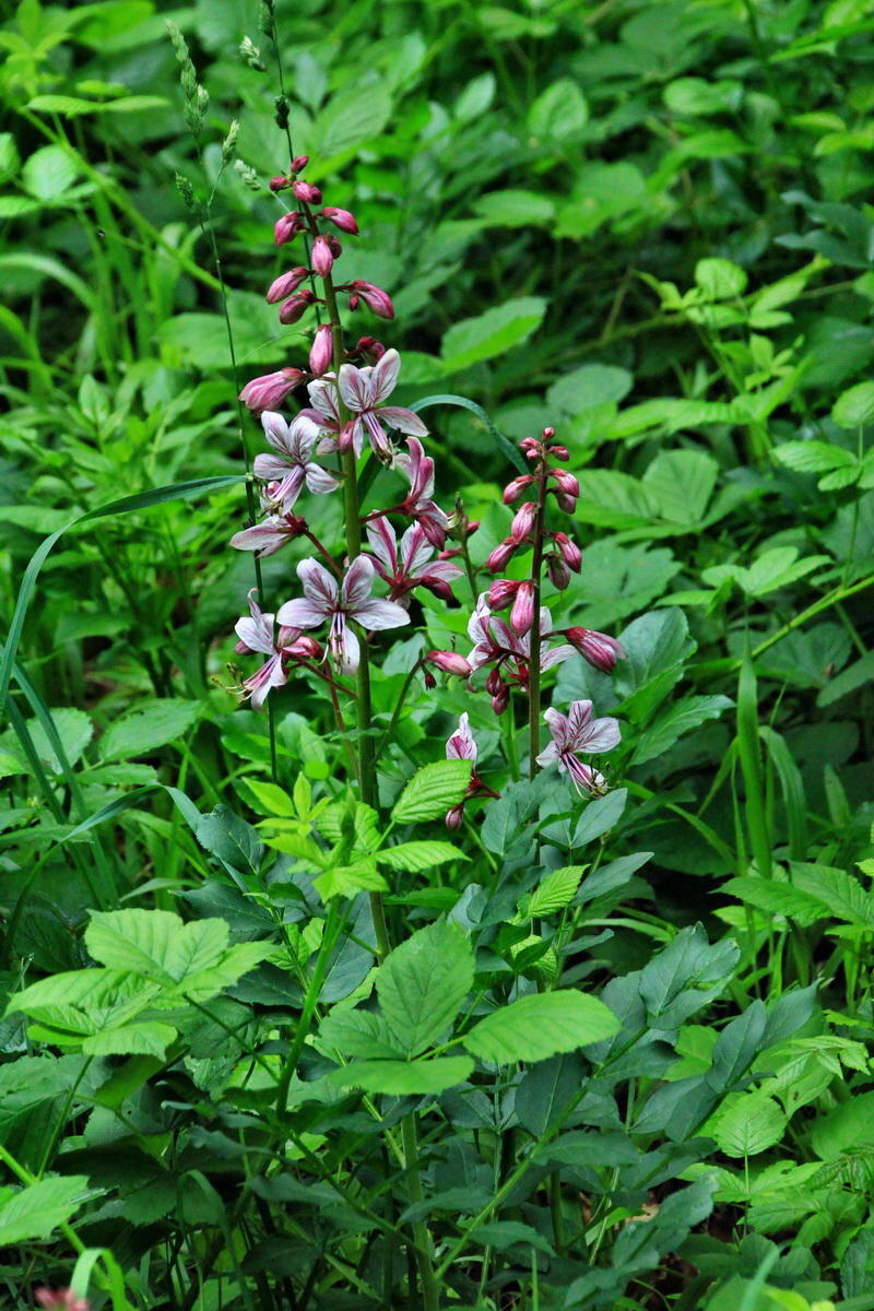 A_2016_05_30_00019923p_Bildgr��e �ndern