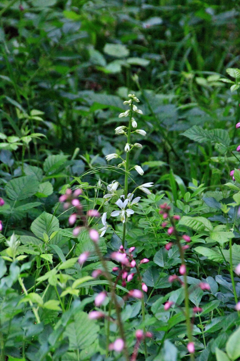 A_2016_05_30_00019925p_Bildgr��e �ndern