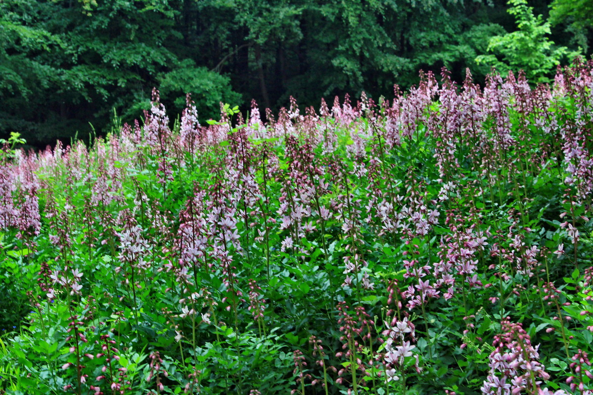 A_2016_05_30_00019934p_Bildgr��e �ndern