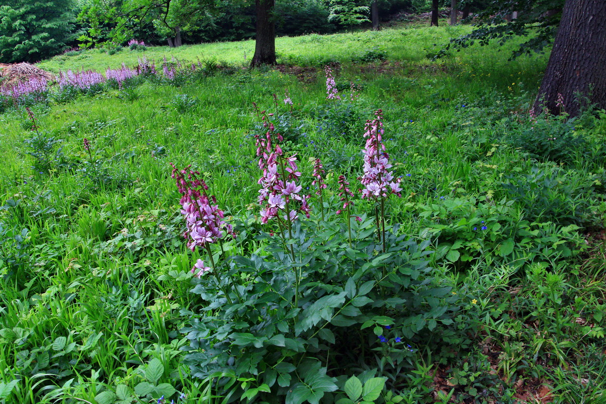 A_2016_05_30_00019935p_Bildgr��e �ndern