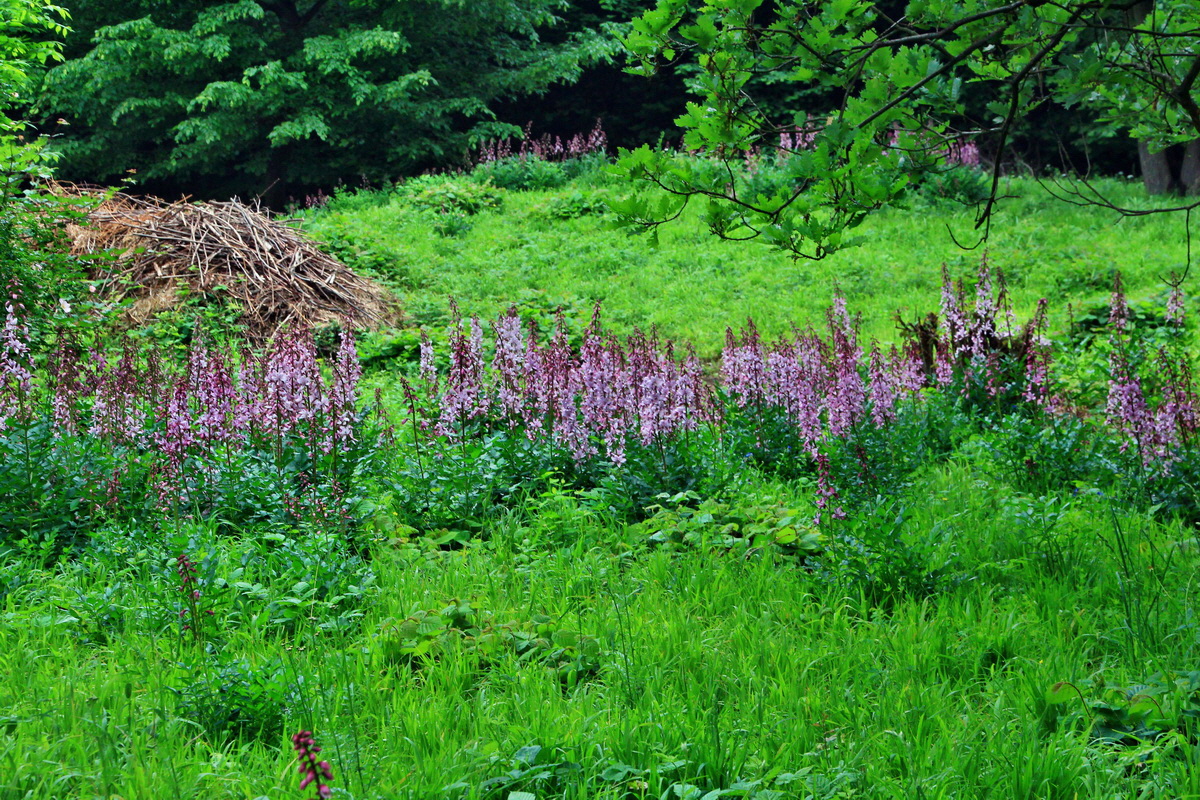 A_2016_05_30_00019938p_Bildgr��e �ndern