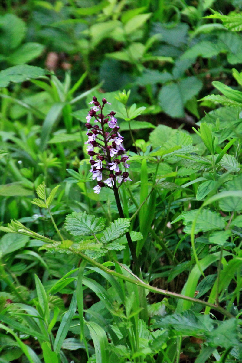 A_2016_05_30_00019940p_Bildgr��e �ndern