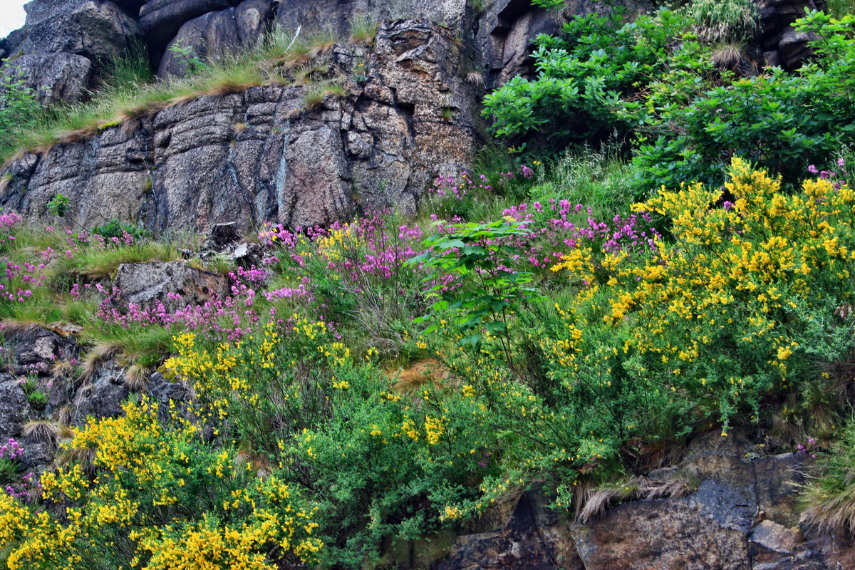 A_2016_05_30_00019950p_Bildgr��e �ndern