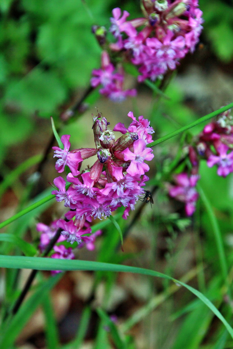 A_2016_05_30_00019954p_Bildgr��e �ndern