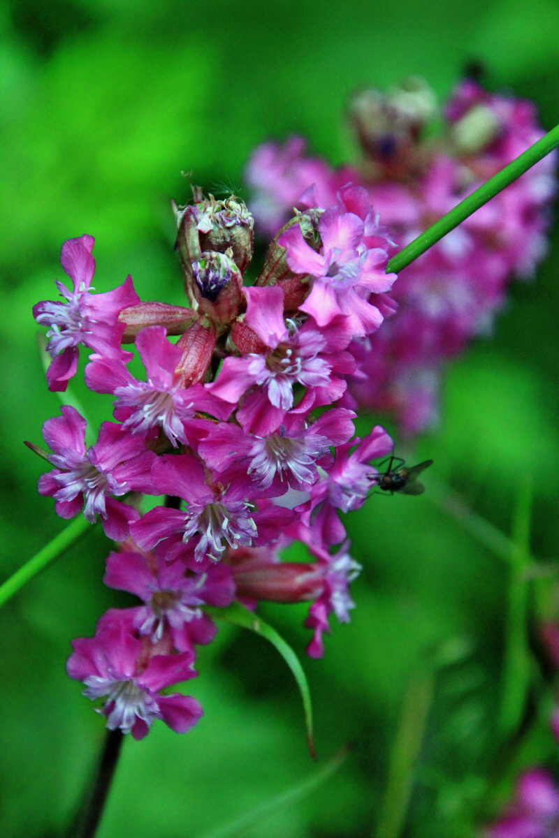 A_2016_05_30_00019956p_Bildgr��e �ndern