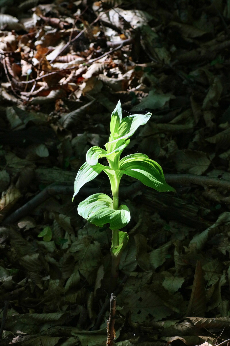 IMG-2016-05-31-00017229p_Bildgr��e �ndern